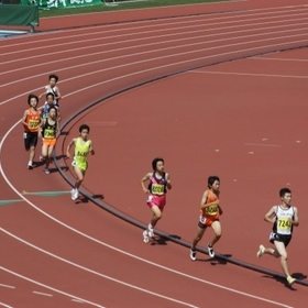 男子800m